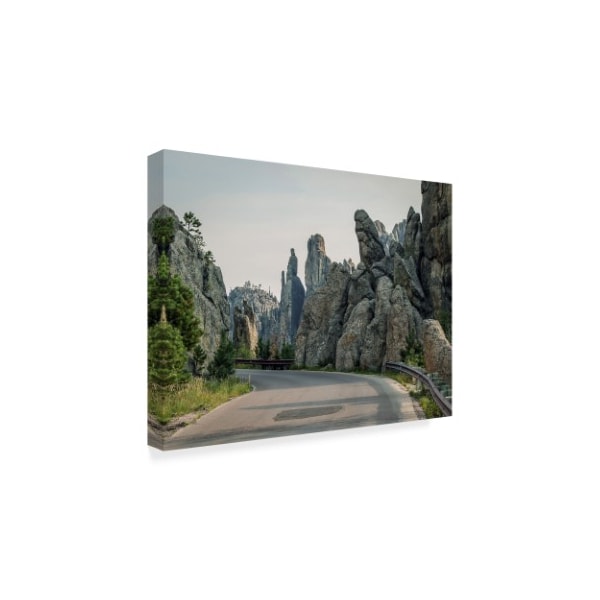 J.D. Mcfarlan 'Needles Hwy, Sd 1' Canvas Art,35x47